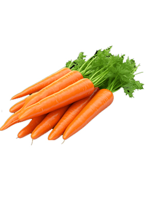 Carrot